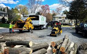 Best Seasonal Cleanup (Spring/Fall)  in Mechanicville, NY