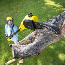 Reliable Mechanicville, NY Tree Removal Solutions