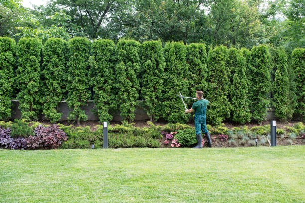 Best Lawn Pest Prevention  in Mechanicville, NY
