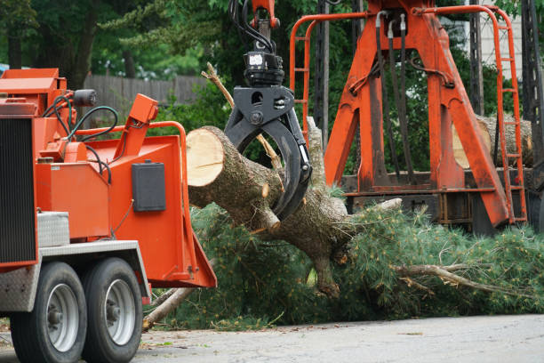Best Landscape Design and Installation  in Mechanicville, NY